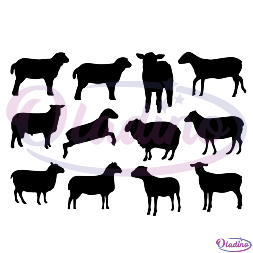 Sheep Bundle Svg Digital File