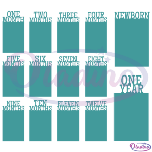 Baby First Birthday Monthly Photo Banner SVG Digital File