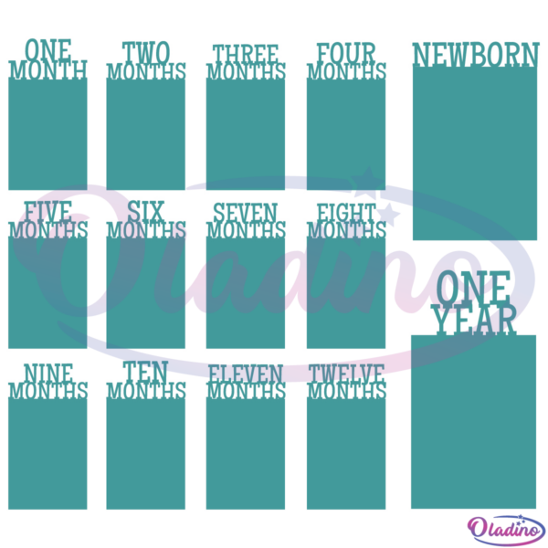 Baby First Birthday Monthly Photo Banner SVG Digital File