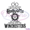 I Never Received My Letter To Hogwarts SVG, Harry Potter SVG