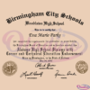 Birmingham City School SVG Digital File, Funny Svg