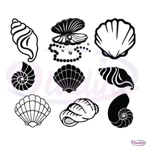 Sea Shell Bundle SVG Digital File Conch Svg