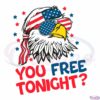 You Free Tonight 4th Of July Svg, Independence Day Svg File