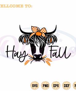 highland-cow-funny-hay-fall-svg-graphic-designs-files