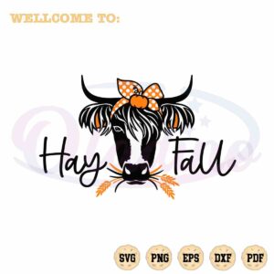 highland-cow-funny-hay-fall-svg-graphic-designs-files