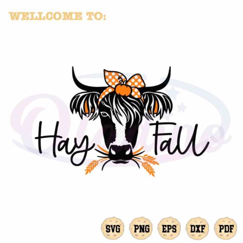 highland-cow-funny-hay-fall-svg-graphic-designs-files