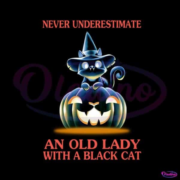 never-underestimate-an-old-lady-with-a-black-cat-png-file