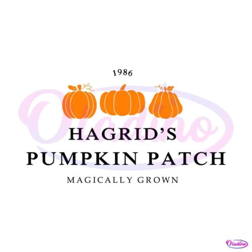 hagrid-pumpkin-patch-magically-grown-svg-graphic-file