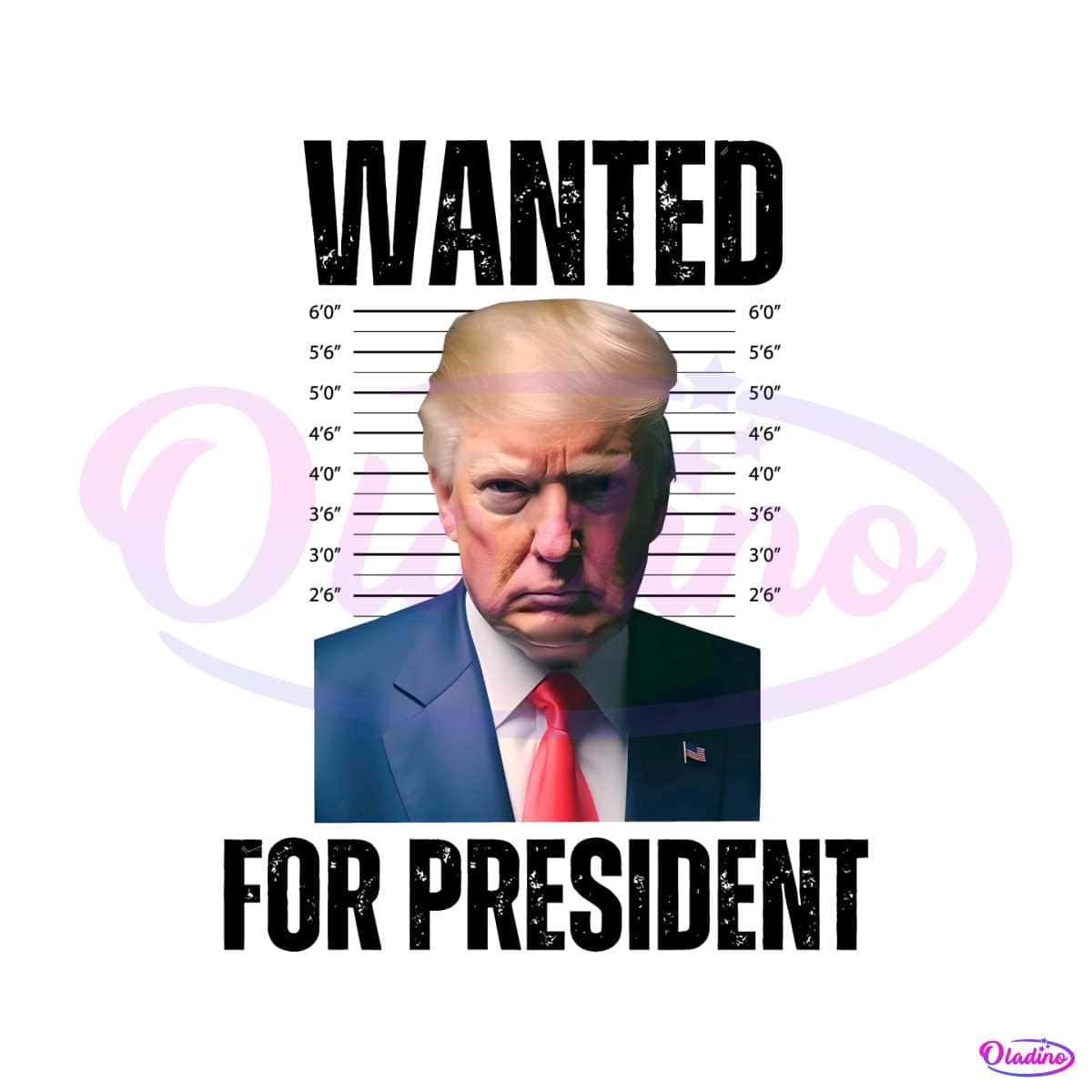 Trump Wanted For President PNG Trump Mugshot PNG File