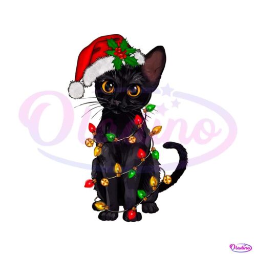 funny-christmas-santa-black-cat-png-sublimation-download