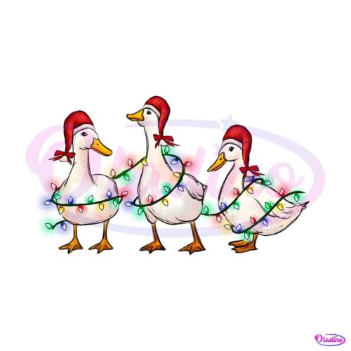 funny-animals-christmas-ducks-santa-hat-png-download