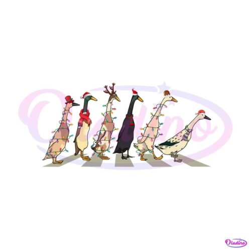 ducks-christmas-light-on-the-street-png-sublimation-file