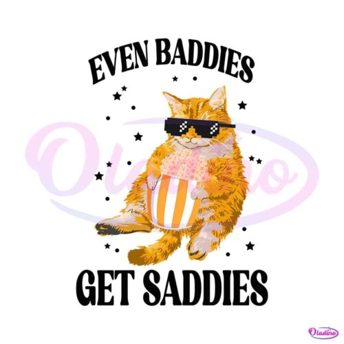 cat-even-baddies-get-saddies-png