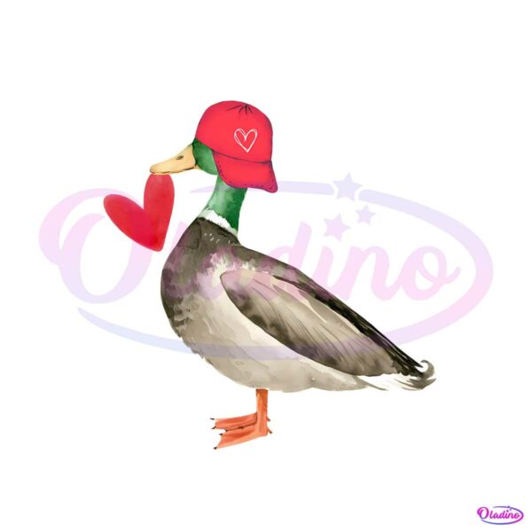 valentine-mallard-duck-funny-animal-png