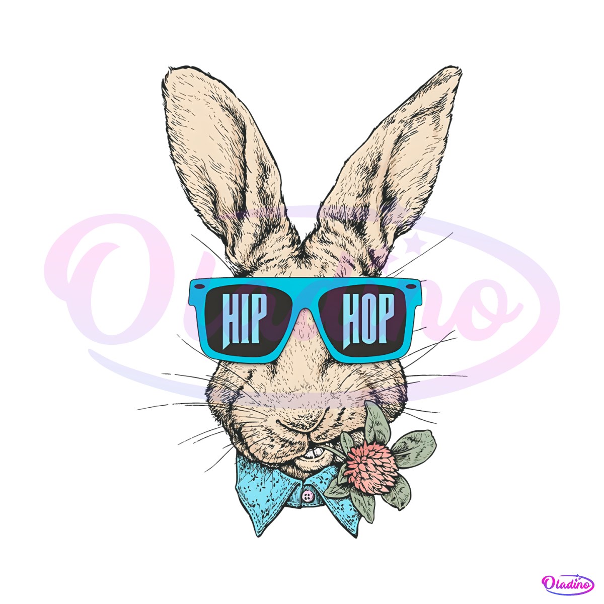 vintage-hip-hop-bunny-glassas-png