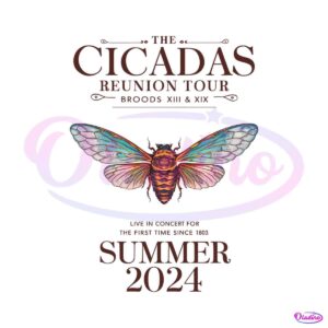 cicada-reunion-tour-2024-summer-time-png