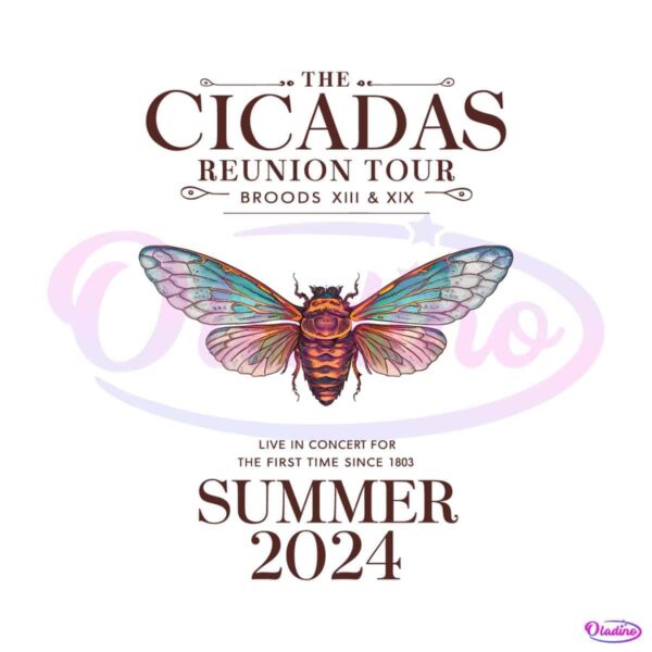 cicada-reunion-tour-2024-summer-time-png