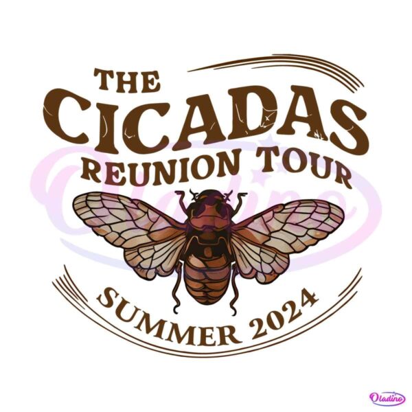 the-cicadas-reunion-tour-summer-2024-png