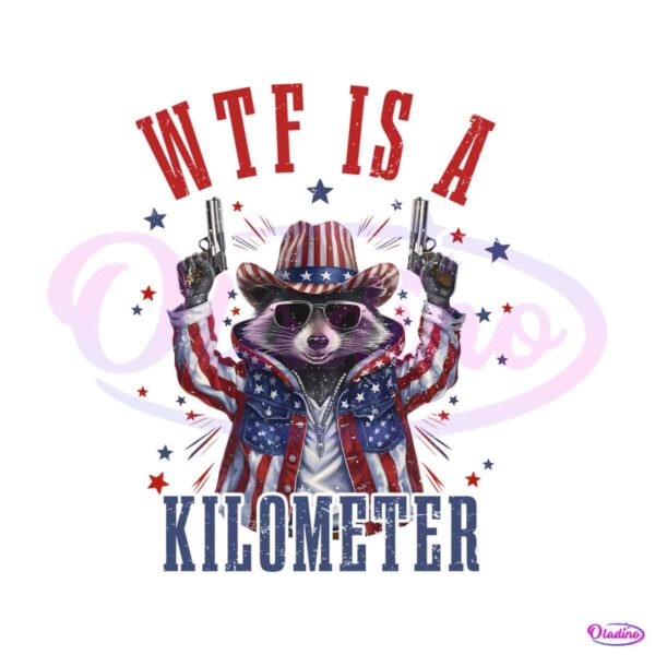 wtf-is-a-kilometer-raccoon-meme-png