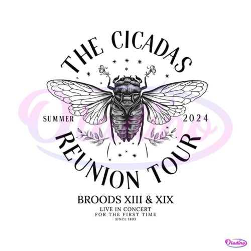 the-cicada-reunion-tour-concert-2024-brood-xiii-xix-png