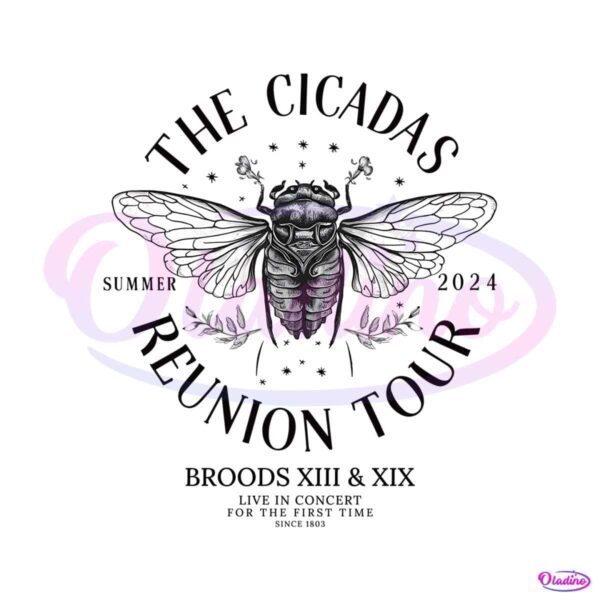 the-cicada-reunion-tour-concert-2024-brood-xiii-xix-png