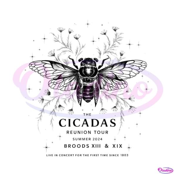 the-cicada-reunion-tour-2024-bee-broods-xiii-and-xix-png