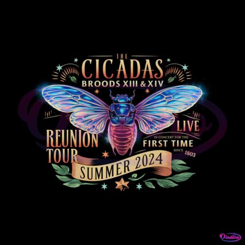 the-cicadas-reunion-summer-tour-2024-png