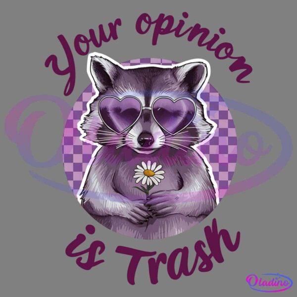 Funny Raccoon Your Opinion Is Trash PNG