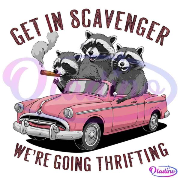 Raccoon Get In Scavenger Were Going Thrifting PNG