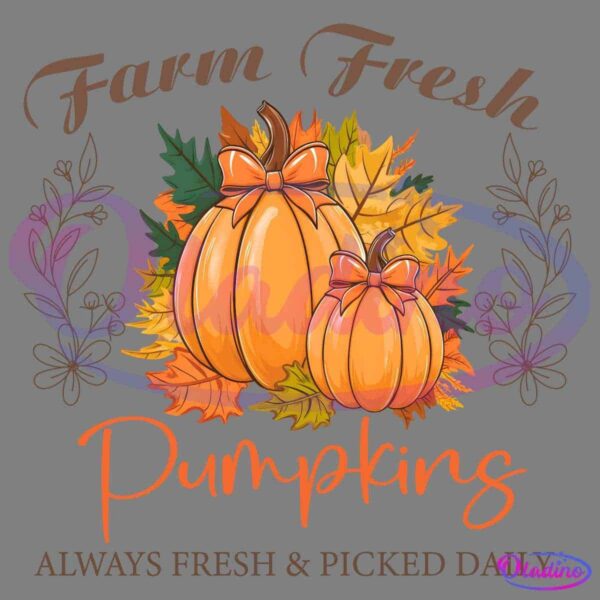 Illustration of two pumpkins adorned with bows, surrounded by colorful autumn leaves. The text reads "Farm Fresh Pumpkins" at the top and "Always Fresh & Picked Daily" at the bottom, with decorative floral elements on either side.