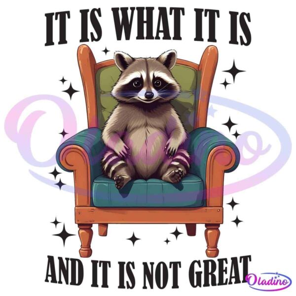 A cute raccoon sits on a teal armchair with a wooden frame. Above and below the raccoon, text reads, "It is what it is and it is not great." The image is set against a black background with scattered stars around the raccoon.