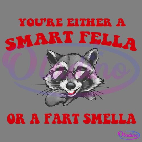 A cartoon raccoon with sunglasses is smiling and holding its paw to its chin in a thinking pose. Bold, red text above and below the raccoon reads, "You're either a smart fella or a fart smella.