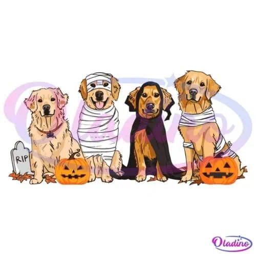 Four golden retrievers in Halloween costumes sitting side by side. From left to right, the first dog has a "RIP" gravestone next to it, the second is wrapped like a mummy, the third wears a black cape, and the fourth also has a mummy costume. Pumpkins are in front of them.