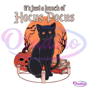 Retro Vintage Its Just a Bunch of Hocus Pocus Black Cat PNG