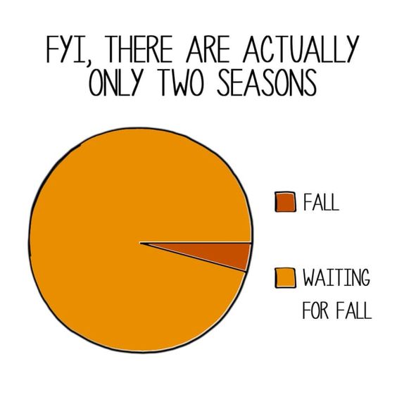 Funny Fall Memes 12