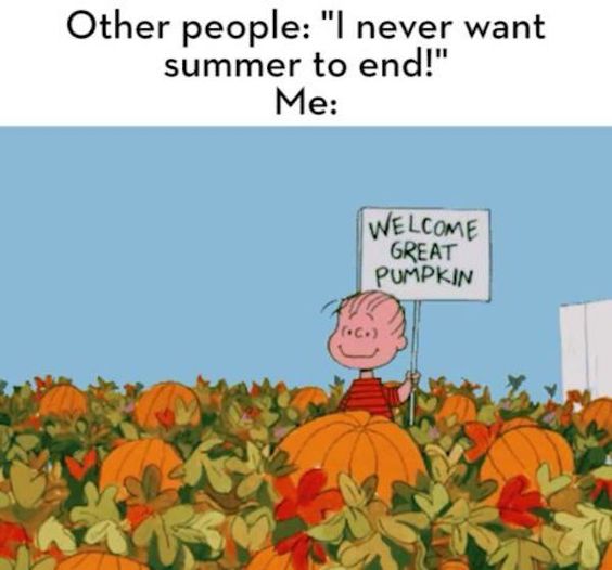 Funny Fall Memes 16