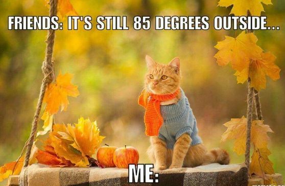 Funny Fall Memes 17
