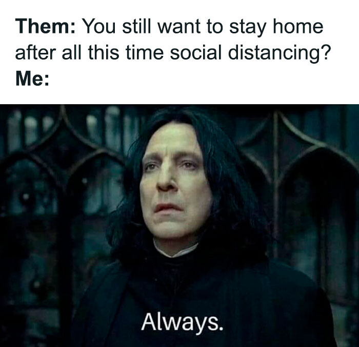 50 Introvert Memes That Understand Us Better Than People Do 50