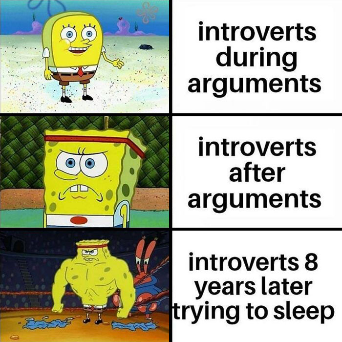 50 Introvert Memes That Understand Us Better Than People Do 33