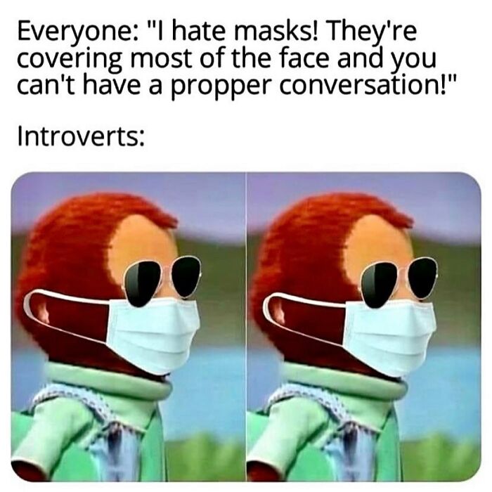 50 Introvert Memes That Understand Us Better Than People Do 23