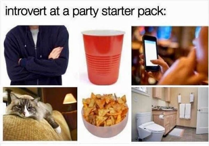 50 Introvert Memes That Understand Us Better Than People Do 3