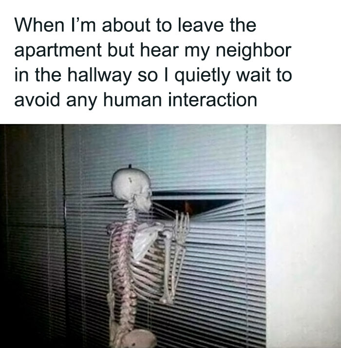 50 Introvert Memes That Understand Us Better Than People Do 43