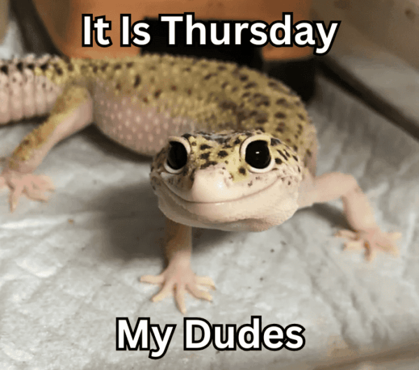 20 Thursday Memes To Pump You Up For The Weekend - Oladino