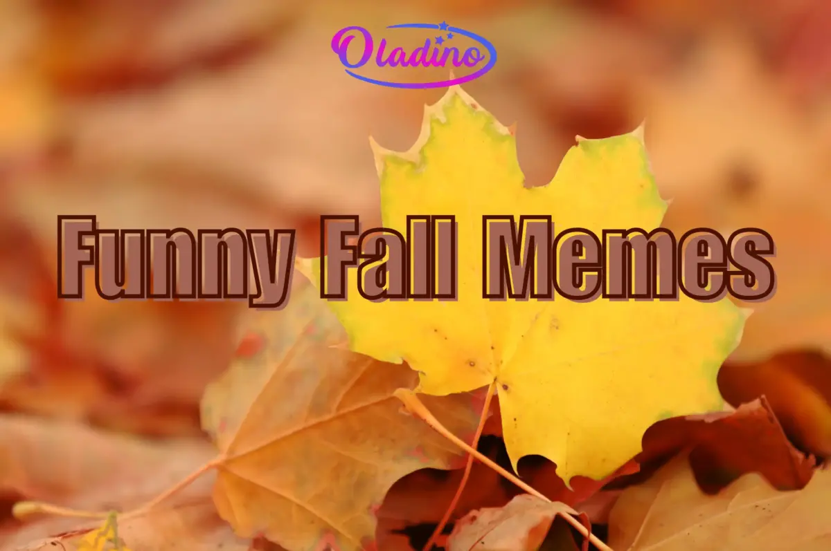 Funny Fall Memes