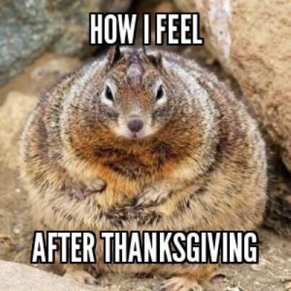 32 Funny Thanksgiving Memes to Make Your Turkey Day Better