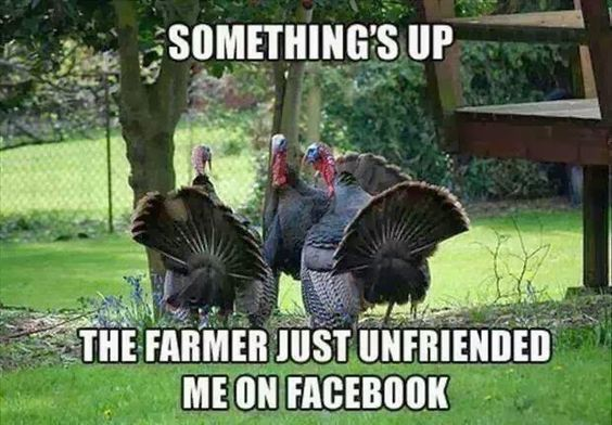 32 Funny Thanksgiving Memes to Make Your Turkey Day Better