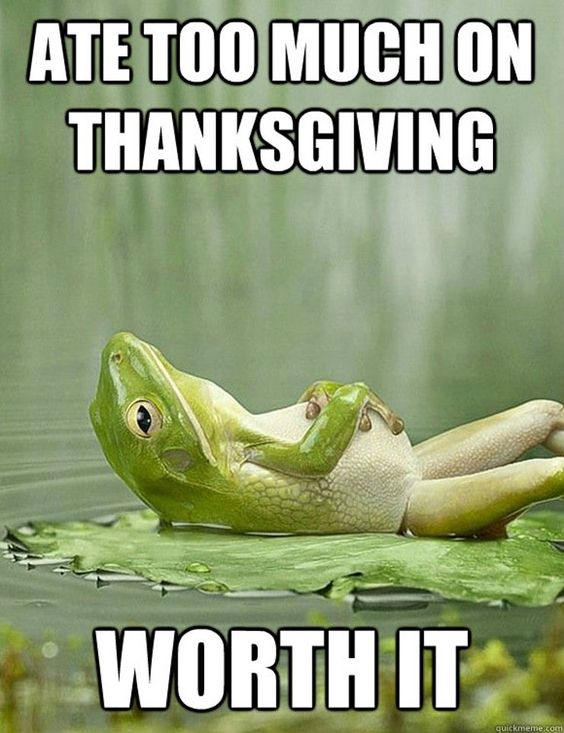 32 Funny Thanksgiving Memes to Make Your Turkey Day Better