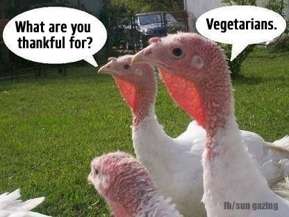 32 Funny Thanksgiving Memes to Make Your Turkey Day Better