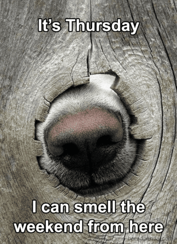 20 Thursday Memes To Pump You Up For The Weekend - Oladino