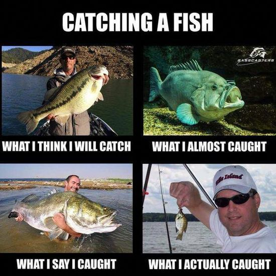 Reel in the Laughs with These Funny Fishing Memes 1